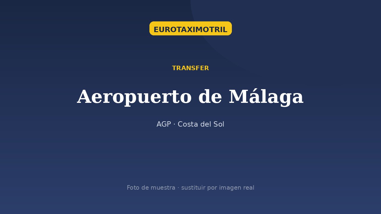 Terminal Aeropuerto de Málaga Costa del Sol